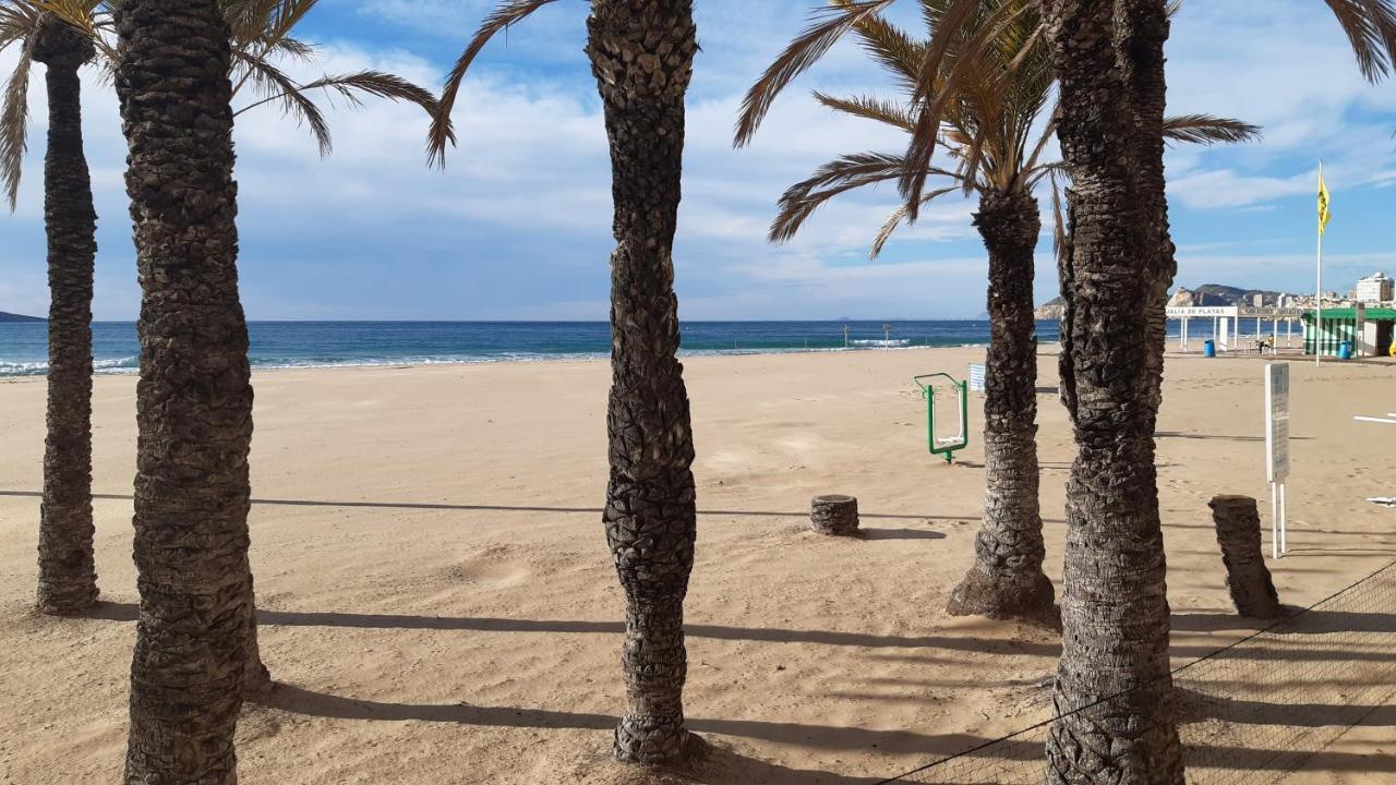 Appartement Benidorm Mariscal מראה חיצוני תמונה